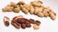 Peanut kernels on a white background