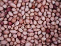 Peeled Peanuts Background Texture, Healthy Nuts Royalty Free Stock Photo
