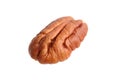 Peeled pecan nut isolated on a white background. Single pecan seed half Royalty Free Stock Photo