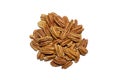 Peeled pecan nuts isolated on white background. Royalty Free Stock Photo