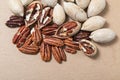 Peeled pecans, in the shell and without. Carya illinoinensis nuts Royalty Free Stock Photo
