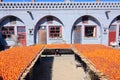 Airing persimmons