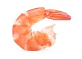 Peeled prawn isolated on white background. Shrimp. Seafood Royalty Free Stock Photo