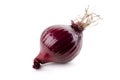 Peeled Red Onion Royalty Free Stock Photo