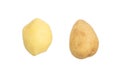 Peeled and regular Potatoe Royalty Free Stock Photo