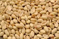 Peeled, roasted peanuts are scattered on the table and make up a background of healthy plant products, the legume family