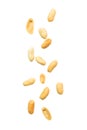 Peeled and salted peanut falling