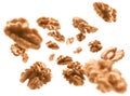 Peeled from the shell, walnut kernels levitate on a white background Royalty Free Stock Photo