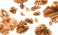 Peeled from the shell, walnut kernels levitate on a white background Royalty Free Stock Photo