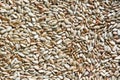 peeled sunflower seeds background Royalty Free Stock Photo