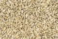 Peeled sunflower seeds background texture Royalty Free Stock Photo