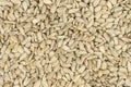 Peeled sunflower seeds background texture Royalty Free Stock Photo