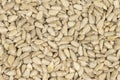 Peeled sunflower seeds background texture Royalty Free Stock Photo