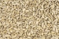 Peeled sunflower seeds background texture Royalty Free Stock Photo