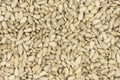 Peeled sunflower seeds background texture Royalty Free Stock Photo