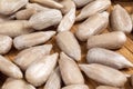 Peeled sunflower seeds close-up macro. Selective Focus Royalty Free Stock Photo