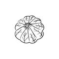 Peeled tangerine fruit in black isolated on white background. Hand drawn sketch vector illustration in doodle line vintage