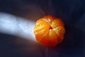 The peeled tangerine lighted sun rays Royalty Free Stock Photo
