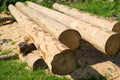 Peeled thick logs in the log house construction yard Royalty Free Stock Photo