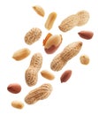 Peeled, unpeeled and whole shell peanuts