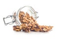 Peeled walnut kernels in jar isolated on white background Royalty Free Stock Photo