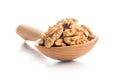 Peeled walnut kernels in wooden scoop isolated on white background Royalty Free Stock Photo