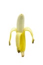 Peeled yellow ripe banana, Open banana isolated on a white background Royalty Free Stock Photo