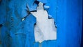 Peeling Blue Wall with Light Surface Royalty Free Stock Photo