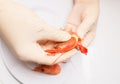 Peeling boiled pink shrimp