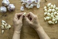 Peeling a clove of garlic Royalty Free Stock Photo