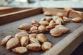 Peeling fresh almonds on an outdoor table in a sunny summer day. Home grown bio  food, farm life, country life Royalty Free Stock Photo