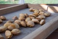 Peeling fresh almonds on an outdoor table in a sunny summer day. Home grown bio  food, farm life, country life Royalty Free Stock Photo