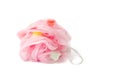 Peeling and massage sponge net on white Royalty Free Stock Photo