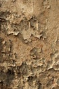 Peeling Old Wall Royalty Free Stock Photo