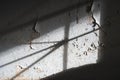 Peeling paint concrete wall Damage caused by damp and moisture o Royalty Free Stock Photo