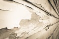 Peeling paint on an old building Royalty Free Stock Photo