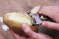 Peeling potato