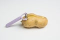 Peeling potatoes Royalty Free Stock Photo