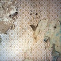 Peeling Wallpaper, Damaged Wal Royalty Free Stock Photo