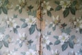 Peeling wallpaper on drywall plasterboard wall, with vintage white flowers and leaves