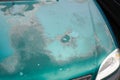 Peeling worn cracked green paint with scratches car completely faded engine hood