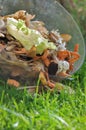 Peelings for compost