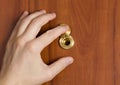 Peep hole closeup Royalty Free Stock Photo