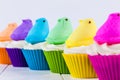 Peeps Easter Cupcakes Royalty Free Stock Photo