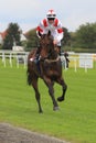 Peer Cooper - horse racing in Prague Royalty Free Stock Photo