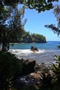 Peering through the rainforest to the Pacific Ocean at Onomea Bay, Papaikou, Hawaii Royalty Free Stock Photo