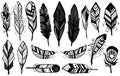 Peerless tribal design of decorative black feathers silhouette set vector illustration. Royalty Free Stock Photo