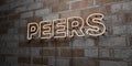 PEERS - Glowing Neon Sign on stonework wall - 3D rendered royalty free stock illustration