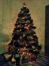 Pefrect Christmas tree for family time