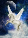 Pegasus Royalty Free Stock Photo